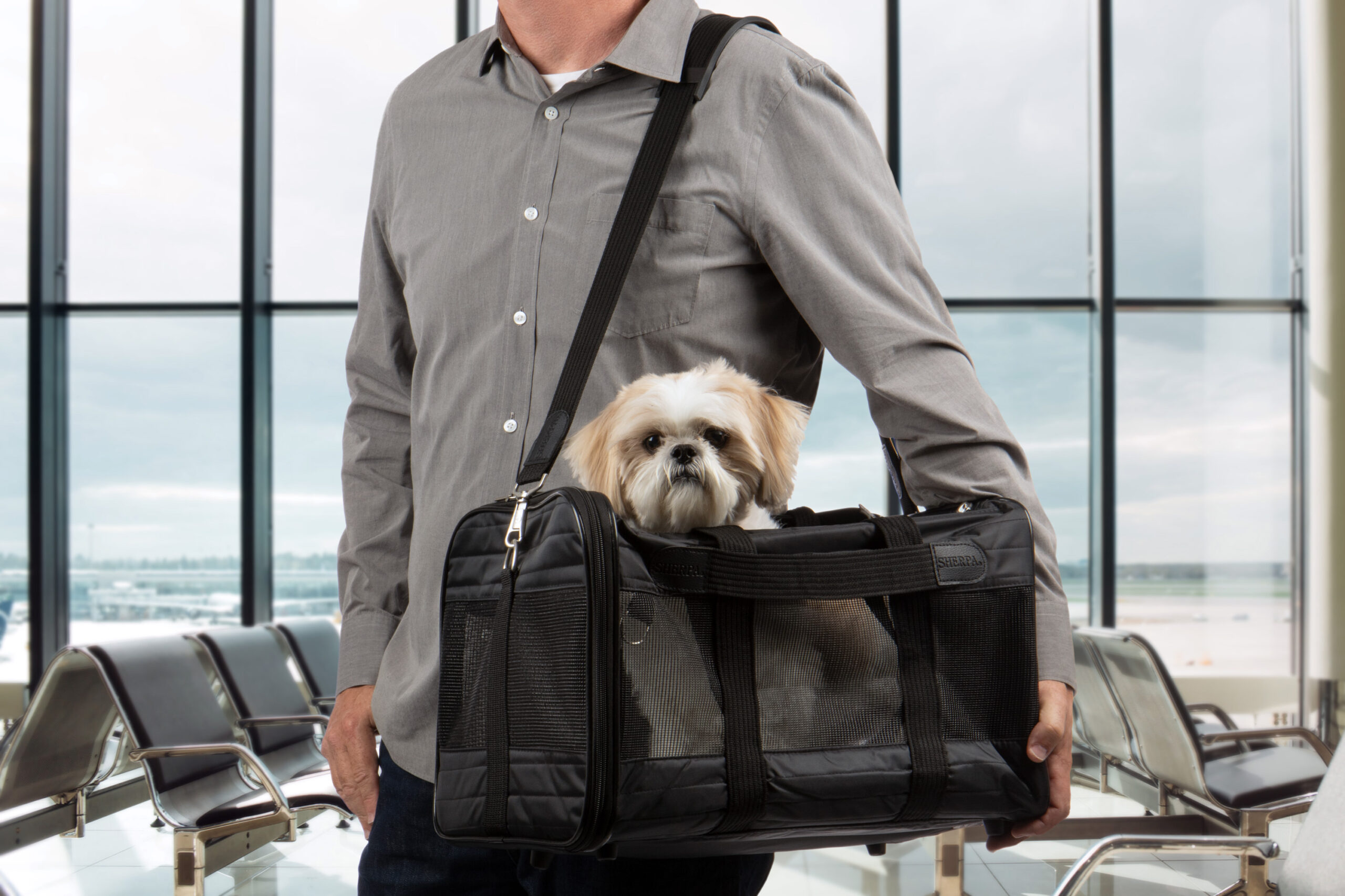 The Best Cat Carrier: Sherpa Original Deluxe Pet Carrier Bag