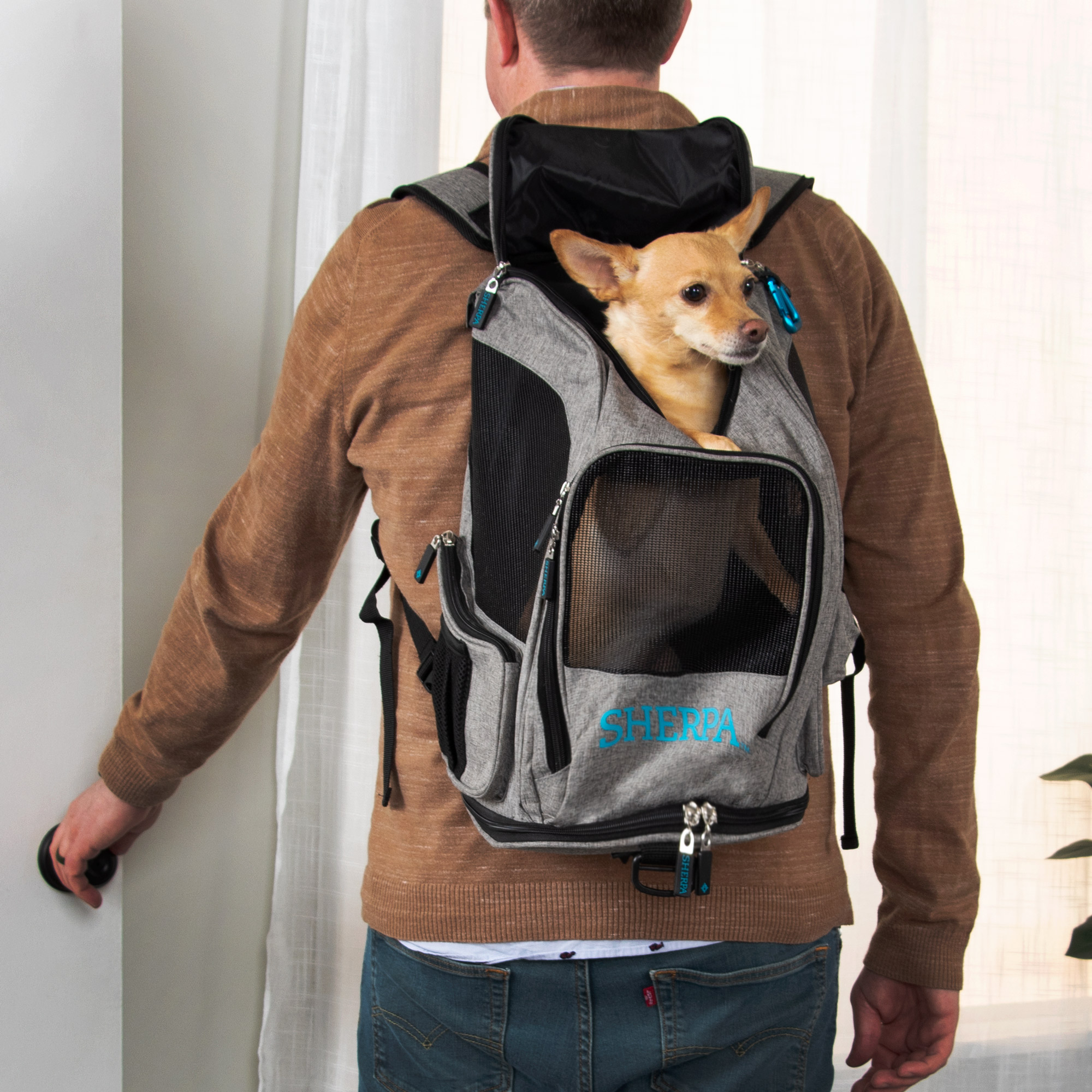 2-in-1 Pet Backpack & Carrier - Sherpa