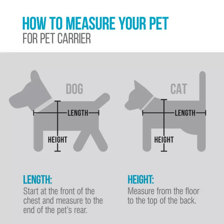 Airline Compliant Pet Carrier Sizing Guide & The Perfect Fit – ROVERLUND