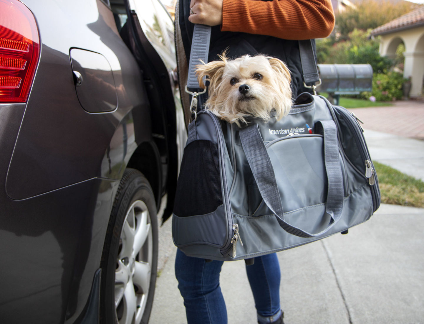 American Airlines™ Pet Carrier Sherpa