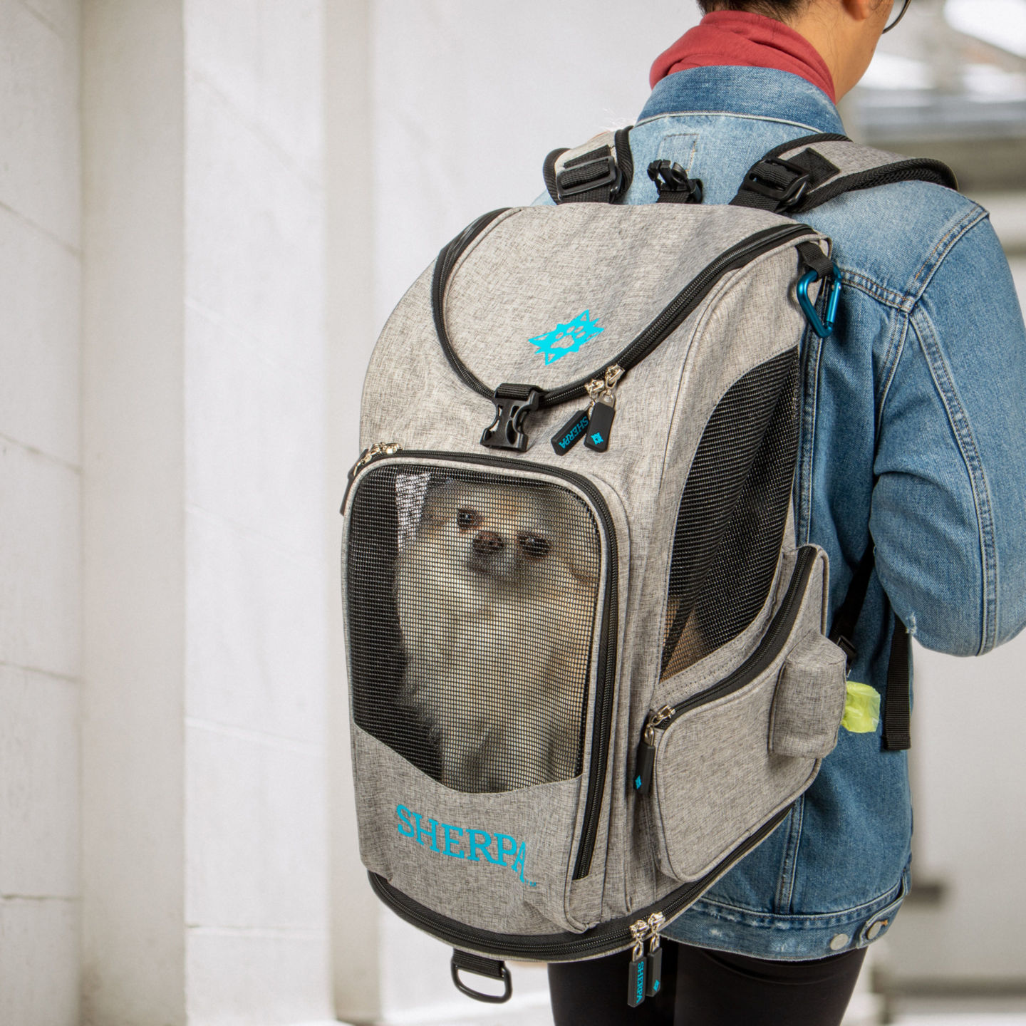 2in1 Pet Backpack & Carrier Sherpa