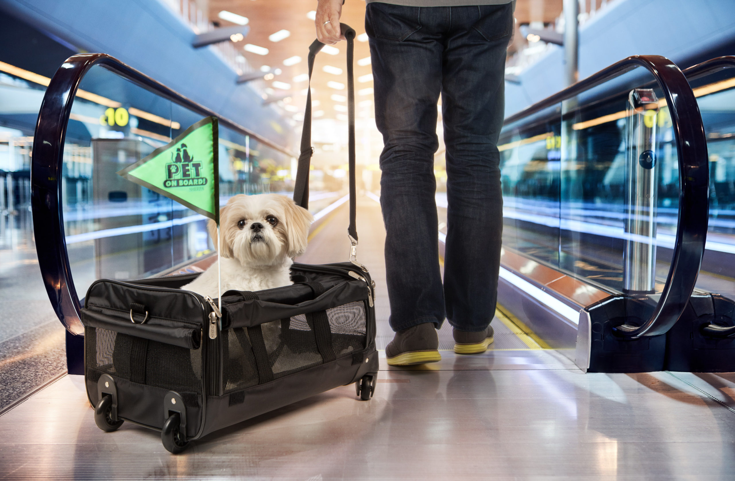 Pet Carrier, Large Soft Sided Pet Travel TSA Carrier 4 Sides