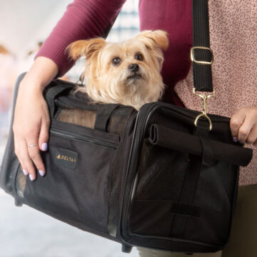 Delta Airlines Pet Carrier Sherpa