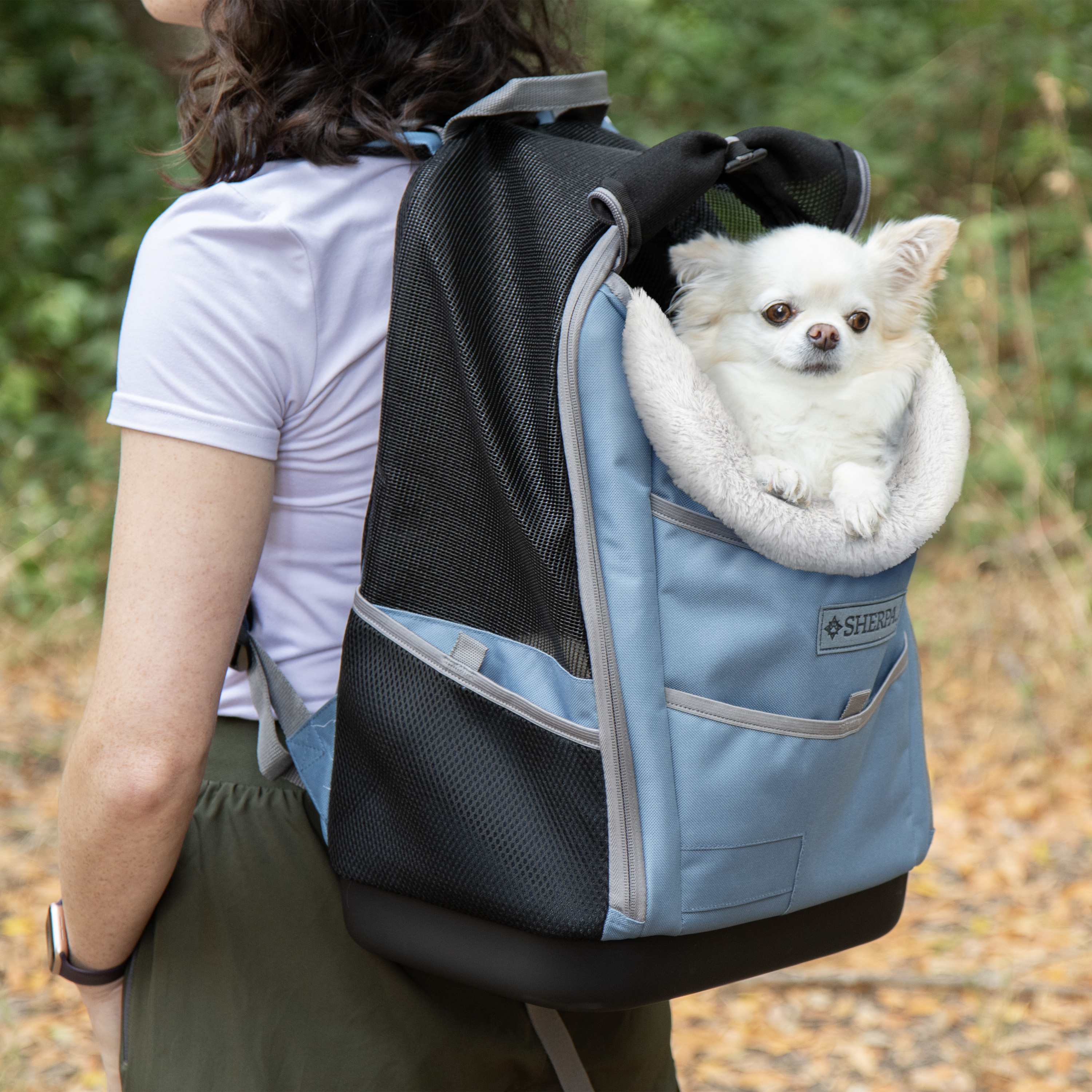 Chewy V Print Dog Backpack