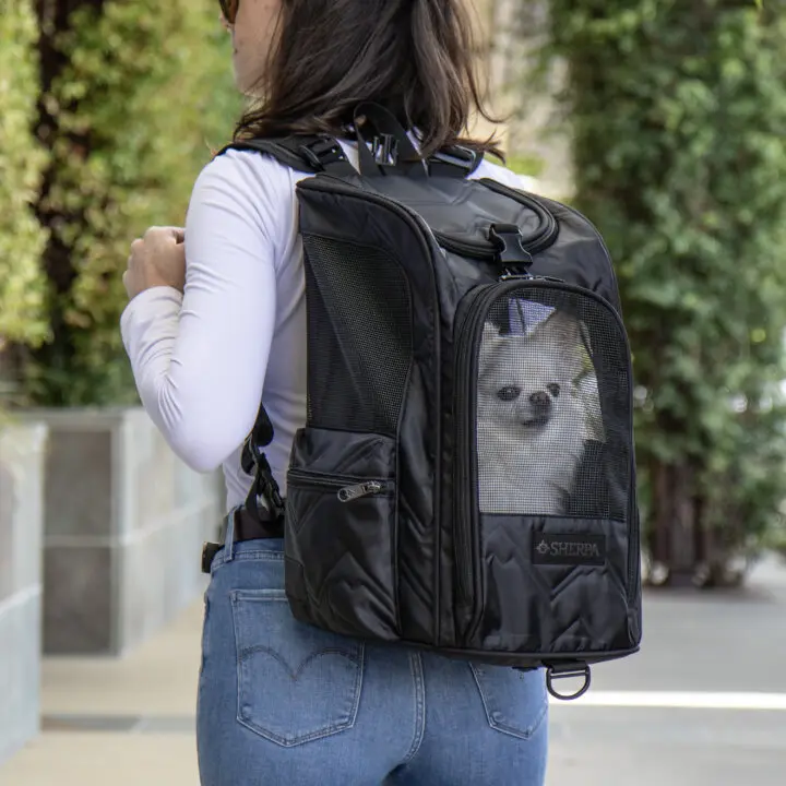 Dog travel carrier backpack best sale