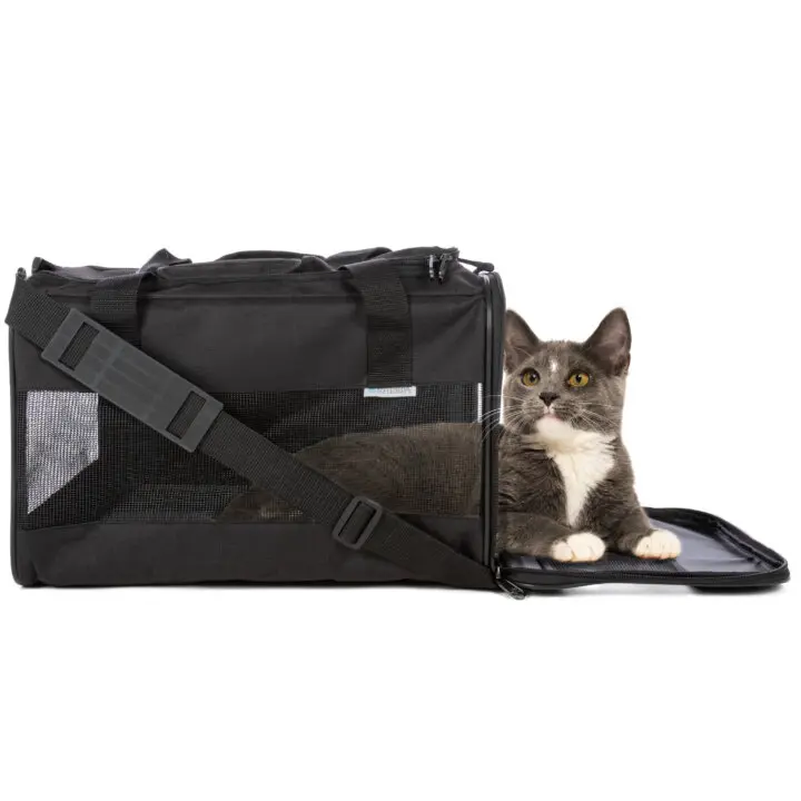 Sherpa comfort ride pet carrier fashion