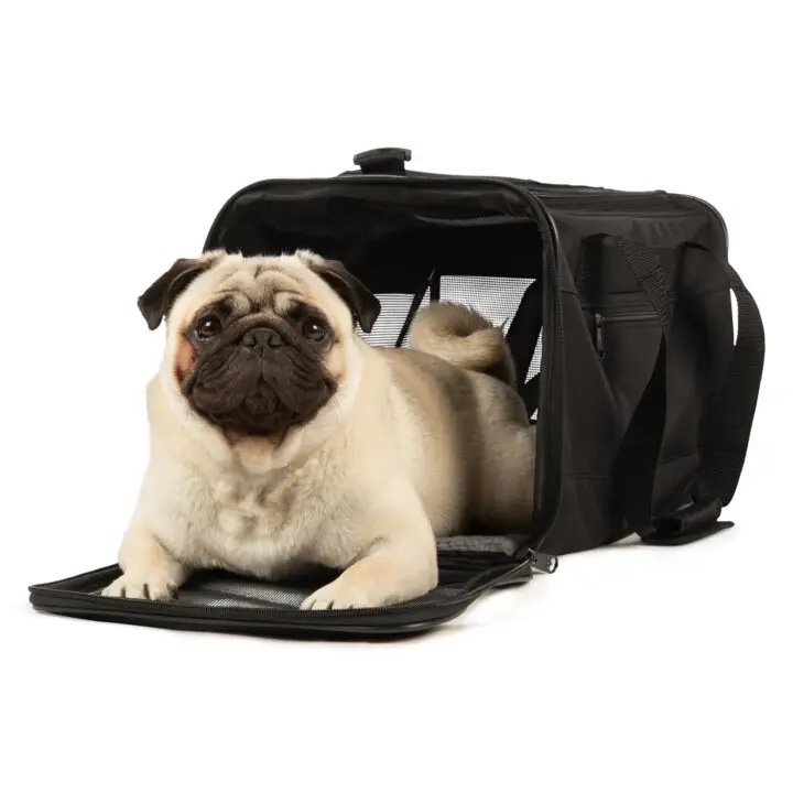 Airline friendly dog carriers best sale