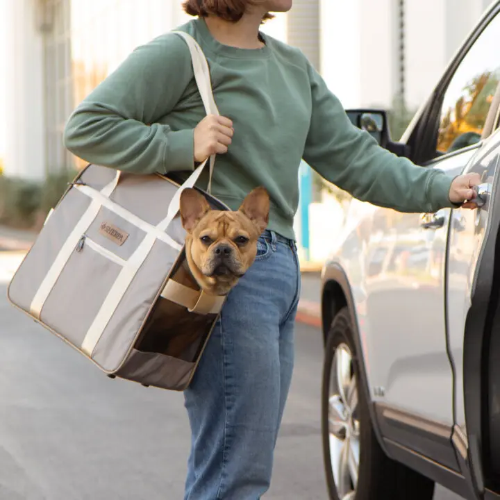 Sherpa tote around town fashion