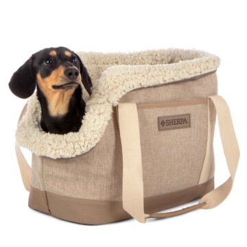 pet travel bag with wheels